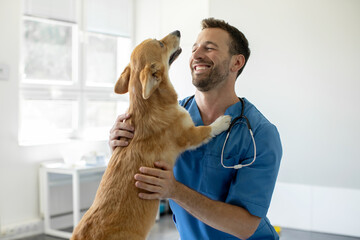 Happy man vet doctor in blue uniform cuddling pembroke welsh corgi dog, playing with little dog after treatment, free space