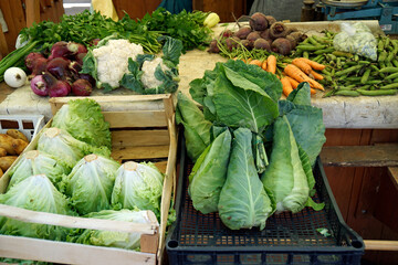 Wall Mural - fresh vegetables from farmer market in croatia