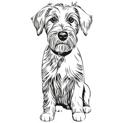 Wall Mural - Sealyham Terrier dog breed line drawing, clip art animal hand drawing vector black and white realistic breed pet