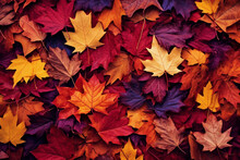 Colorful Seasonal Autumn Background Pattern