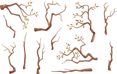 Wall Mural - branches. wooden tree branches in cartoon style exact vector illustration set isolated