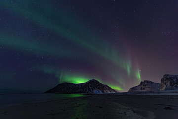 Wall Mural - aurora borealis in northern norway at the lofoten