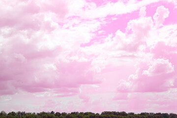 Wall Mural - Fantastic pink sky with fluffy clouds over green trees