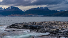 A Colony Of Cormorants Settled On A Rocky Island In The Beagle Channel.  The Picturesque Mountain Range Of The Andes- Martial - Against The Cloudy Sky. Argentina. Tierra Del Fuego Archipelago. 