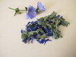 Tea herbs with dried chicory leaves and flowers, Cichorii herba