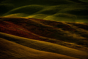 Canvas Print - Landscape in Tuscany, near the Siana and Pienza, Sunrise morning in Italy. Idyllic view on hilly meadow in Tuscany in beautiful morning light, Italy. Foggy morning in nature.