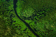 Green river, aerial landscape in Okavango delta, Botswana. Lakes and rivers, view from airplane. Vegetation in South Africa. Trees with water in rainy season.