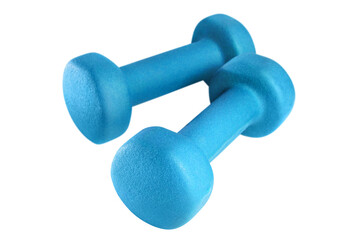 Wall Mural - Pair of blue dumbbells cut out