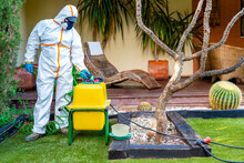 Exterminator With Pest Control Equipment Standing In Garden