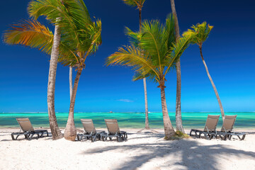 Wall Mural - Exotic sland beach with palm trees on the Caribbean Sea shore, summer tropical destination