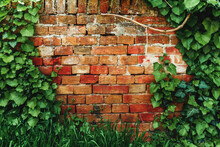 Heart-shaped Ivy And Worn Brick Wall As Social Media Background