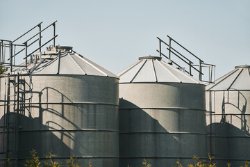 Wall Mural - Steel grain silos stand next to a field. Agro silo granary elevator with seeds. Agro-processing manufacturing plant for processing drying cleaning and storage of agricultural products