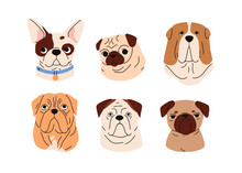 Cute Dogs Avatars Set. Funny Puppies, Doggies Faces, Heads Portraits. Adorable Muzzles, Snouts Of Different Canine Animal Breeds, Pug, Bulldog. Flat Vector Illustrations Isolated On White Background