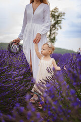 Wall Mural - The girl and her mother are walking in a field of lavender, when all of a sudden