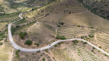Aerial View Of Vineyards In The Priorat Appellation Of Origin Area In The Province Of Tarragona In Catalonia Spain