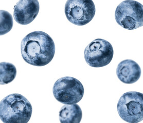 Wall Mural - Blueberry flies close-up on a white background.