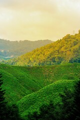 Sticker - Scenic outdoor landscape with lush green grass and rolling hills in the background.