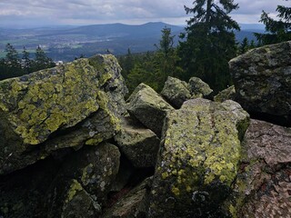 Sticker - Tranquil and scenic landscape featuring a pile of moss-covered rocks and a forest in the background