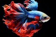 A blue and red fish with long hair. Generative AI