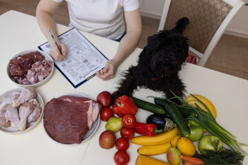 A veterinarian-nutritionist makes a diet for the Black Yorkshire Terrier from meat, fruits and vegetables