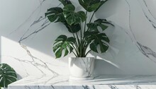 Luxury Organic Beauty Display On A Modern White Marble Stone Counter Table, Adorned With Tropical Monstera Plant In Sunlight Against A Green Wall Background Ai Generated