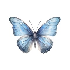 Wall Mural - Watercolor illustration of a light blue butterfly isolated on white background. Generative AI.