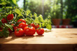 Frisch geerntete Tomaten auf einem Tisch mit Freiraum für eine Produktpräsentation, im Hintergrund unscharf Tomatenpflanzen