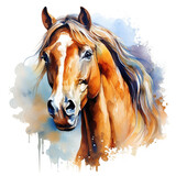 Fototapeta Konie - Watercolor horse, Brown horse portrait on a white background, horse riding sports