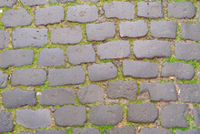 Cobblestone Road Close View, With Herbs Between The Cobblestones