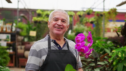 Wall Mural - Portrait of older male Florist employee holding flower inside horticulture plant store while turning head to camera smiling