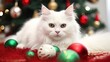 Angora cat with baubles, christmas tree in background, adorable kitty sitting with xmas decoration around. Blur bokeh. Celebration, happy new year. 