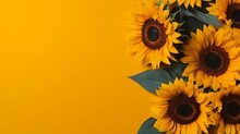 Sunflowers On A Distinct Yellow Summer Background With Copy Space, Place For Text