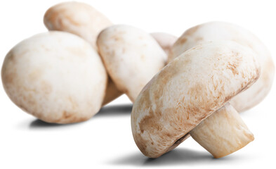 Canvas Print - Fresh ripe whole champignon mushroom on the desk