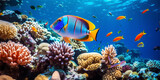 Fototapeta  - Underwater world, colorful exotic fish close-up and sea plants underwater scene
