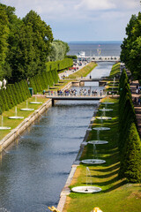 Wall Mural - river in the park