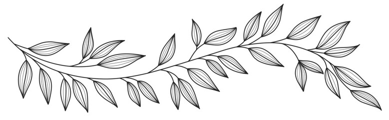 black and white outline sketch of a leaf
