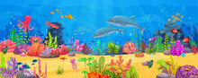 Banner Or Arcade Game Level With Sea Underwater Animals And Seaweeds Ocean Landscape. Cartoon Vector Background With Bright Undersea Biodiversity, Dolphins, Octopus, Jellyfish And Starfish On Seafloor