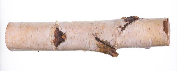 Wall Mural - birch log with white bark and knots isolated on white background