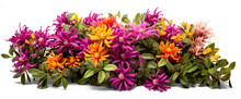 Bush Of Flowers On Transparent Background, Png