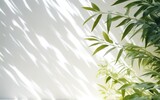 Fototapeta  - Blurred shadow from leaves plants tree branch on the white wall. Sunlight and foliages leaves shadow. Minimal abstract background for product presentation.
