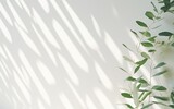 Fototapeta  - Tropical palm leaves with shadows on white wall.  Minimal abstract blurred tropical background for product presentation.