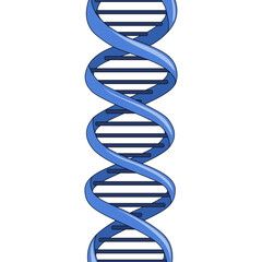 Wall Mural - DNA Deoxyribonucleic acid spiral double helix schematic diagram schematic vector illustration. Medical science educational illustration