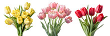 A Collection Of Fresh Natural Pink, Yellow, And Red Tulip Flowers Bouquet Set. Generative AI