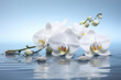 © Lana_M - White orchid flowers in water, spa concept Generative AI