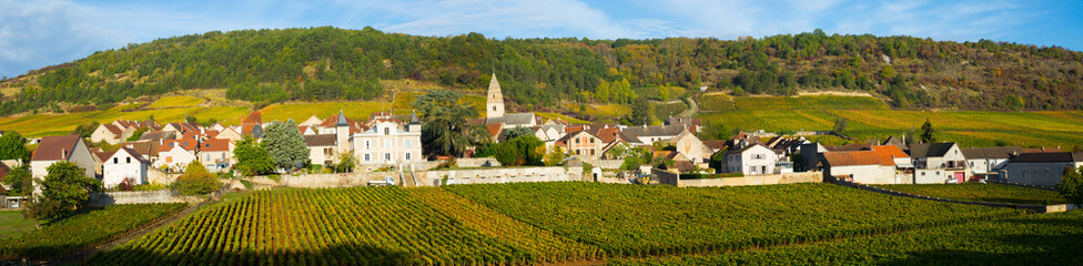 image of saint-aubin, burgundy - french village with famous vineyards at sunny day