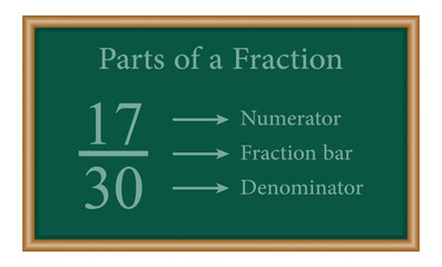 Wall Mural - Parts of fraction number in mathematics. Numerator, denominator and fraction bar. Representation of a fraction. Vector illustration isolated on chalkboard.