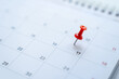 Planning for a business meeting, red pin on the 17th day on the calendar
