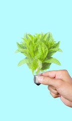 Wall Mural - eco-friendly concept, lightbulb with green fresh leaves