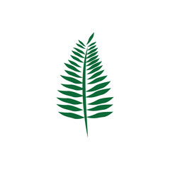 Wall Mural - fern logo icon