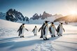 Chillin' with Penguins: Explore the Cuteness of Ice-loving Pals, a Fascinating Show of Waddling Wonders in Their Icy Home